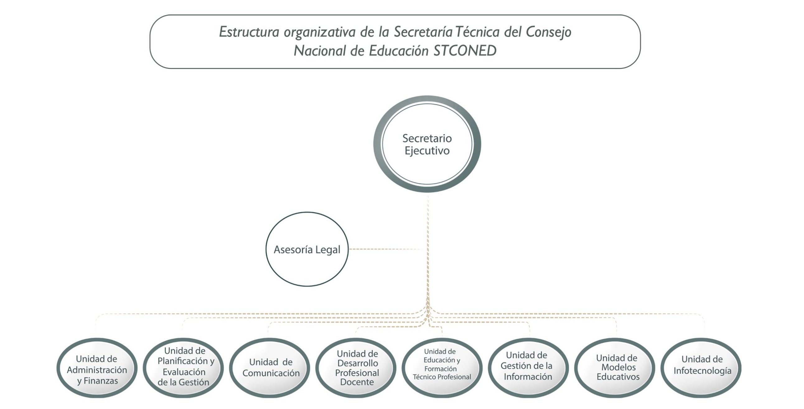 ORGANIGRAMA CONED ORGANIGRAMA CONED